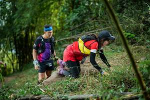 BIB: 
                            <button type="button" onclick="openModal(19434575)" class="btn btn-primary btn-sm float-right btn-popup" data-toggle="modal" data-target=".modal-high-quality">
                        <i class="fas fa-shopping-cart"></i> Add to Cart
                    </button>
                                            <button type="button" onclick="isThisMe(19434575, true)" class="btn btn-success btn-sm float-right btn-popup btn-isme hidden" data-toggle="tooltip" data-placement="bottom" title="นี่คือรูปของคุณใช่ไหม คลิกที่นี่เพื่อเอาเข้าอัลบั้ม">
                        <i class="fas fa-plus"></i> Add to album
                    </button>
                    <button type="button" onclick="isThisMe(19434575, false)" class="btn btn-warning btn-sm float-right btn-popup btn-isnotme hidden">
                        <i class="fas fa-ban"></i> Remove from album
                    </button>